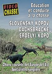 Slovensky kopov dachsbracke d'occasion  Livré partout en France