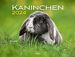 Calendrier entrée 2024 d'occasion  Livré partout en France