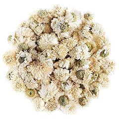 Camomilla romana fiori usato  Spedito ovunque in Italia 