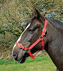 Rhinegold nylon headcollar for sale  Delivered anywhere in Ireland