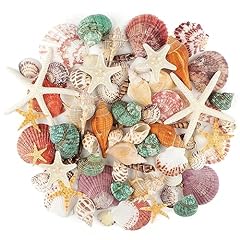 Jangostor sea shells for sale  Delivered anywhere in USA 