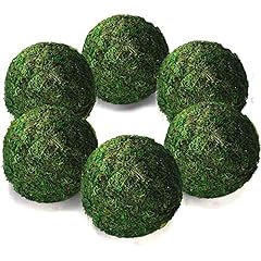 Qingbei rina moss for sale  Delivered anywhere in USA 