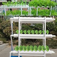 Wsikghu hydroponic growing usato  Spedito ovunque in Italia 