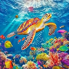 Bgraamiens swimming sea for sale  Delivered anywhere in USA 