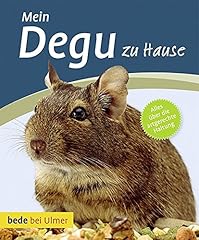 Mein degu hause d'occasion  Livré partout en France