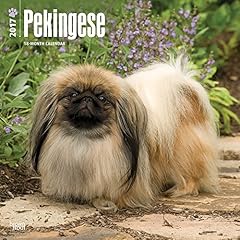 Pekingese 2017 calendar gebraucht kaufen  Wird an jeden Ort in Deutschland