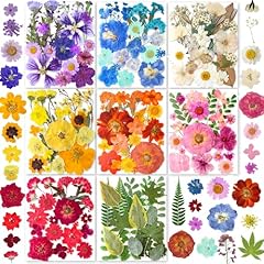 269pcs dried pressed for sale  Delivered anywhere in USA 