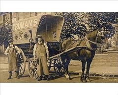 Media storehouse horse for sale  Delivered anywhere in UK