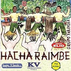 Hacha raimbe usato  Spedito ovunque in Italia 