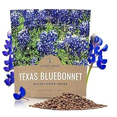 Texas bluebonnet wildflower for sale  Delivered anywhere in USA 