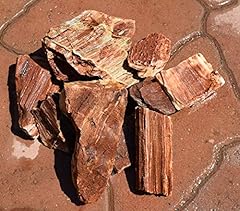 Manzanita driftwood red for sale  Delivered anywhere in USA 