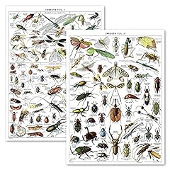 Vintage insect poster for sale  Delivered anywhere in USA 