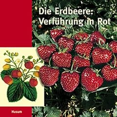 Erdbeere verführung rot gebraucht kaufen  Wird an jeden Ort in Deutschland