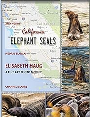 California elephant seals for sale  Delivered anywhere in USA 
