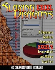 Slaying excel dragons usato  Spedito ovunque in Italia 