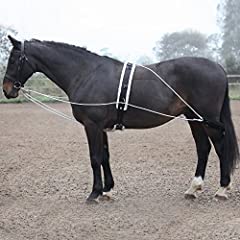 Shires lunging aid for sale  Delivered anywhere in Ireland