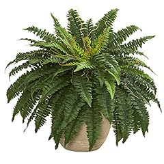 Nearly natural boston for sale  Delivered anywhere in USA 
