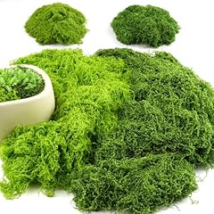 Hopton 100g kunstmoos gebraucht kaufen  Wird an jeden Ort in Deutschland