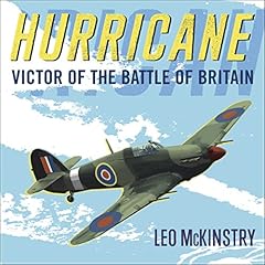 Hurricane victor battle for sale  Delivered anywhere in UK