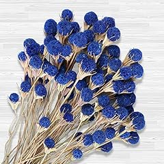 Pcs natural blue for sale  Delivered anywhere in USA 