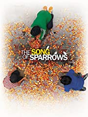 Song sparrows for sale  Delivered anywhere in USA 