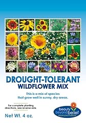 Drought tolerant wildflower for sale  Delivered anywhere in USA 
