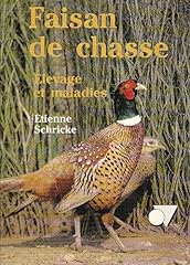 Faisan chasse elevage d'occasion  Livré partout en Belgiqu
