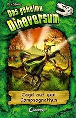 Geheime dinoversum jagd gebraucht kaufen  Wird an jeden Ort in Deutschland