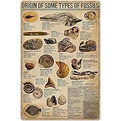 Fossil knowledge metal for sale  Delivered anywhere in USA 