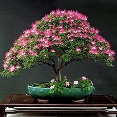 Best garden seeds for sale  Delivered anywhere in USA 