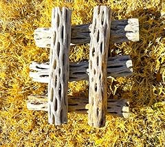 Natural cholla wood for sale  Delivered anywhere in USA 