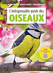 oiseau bateau d'occasion  Livré partout en France