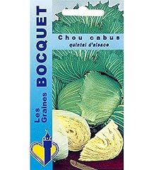 Sachet graines chou d'occasion  Livré partout en France