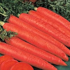 Plant seeds carrot for sale  Delivered anywhere in Ireland