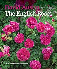 English roses for sale  Delivered anywhere in UK