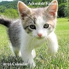 Adorable kitten 2018 for sale  Delivered anywhere in USA 