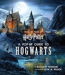 Harry potter pop gebraucht kaufen  Wird an jeden Ort in Deutschland