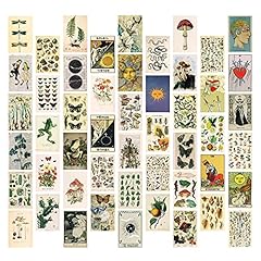Shineyoo 50pcs art for sale  Delivered anywhere in UK