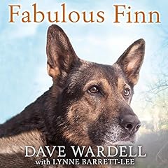 Fabulous finn brave for sale  Delivered anywhere in UK