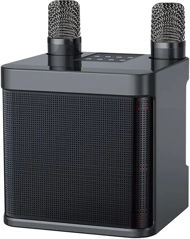 Karaoke Machine met 2 draadloze microfoon, draagbare Karaoke Speaker Bluetooth PA-systeem voor volwassenen en Kits, Karaoke Microfoon Set Support USB TF AUX voor Home Party, Ourdoor, Kerstcadeaus tweedehands  