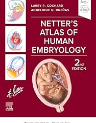 Netter atlas human gebraucht kaufen  Wird an jeden Ort in Deutschland