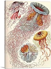 Artcanvas jelly fish for sale  Delivered anywhere in USA 