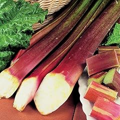 Gardeners kitchen rhubarb for sale  Delivered anywhere in UK