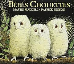 Bébés chouettes d'occasion  Livré partout en France