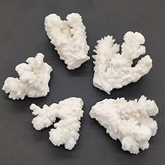 100g real coral for sale  Delivered anywhere in USA 