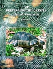 Breitrandschildkröte usato  Spedito ovunque in Italia 