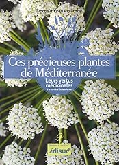 Précieuses plantes méditerra d'occasion  Livré partout en Belgiqu