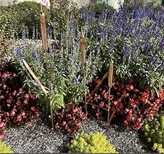 Copper cattail garden for sale  Delivered anywhere in USA 