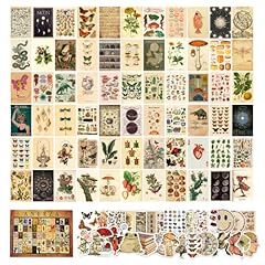 Anerza 100 pcs for sale  Delivered anywhere in USA 