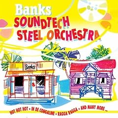 Banks soundtech steel for sale  Delivered anywhere in UK